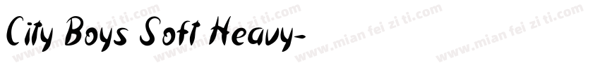 City Boys Soft Heavy字体转换